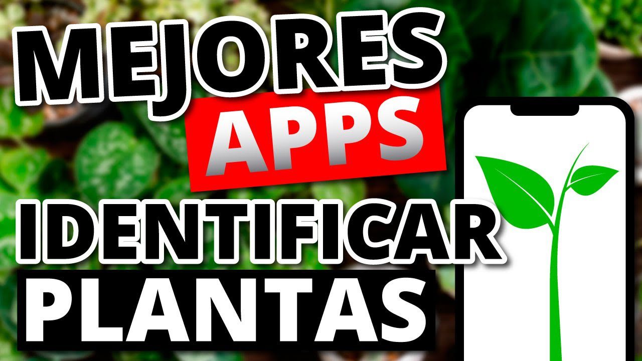 Las-mejores-aplicaciones-para-cuidar-plantas-desde-Android - AndroidMarketApps Las mejores aplicaciones para cuidar plantas desde Android