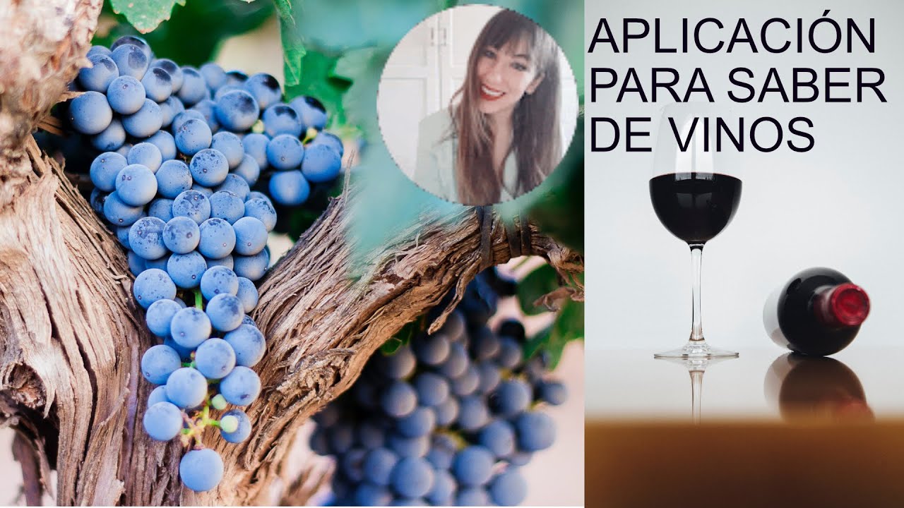 Las mejores apps para aprender sobre vinos y catas desde Android